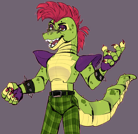 montgomery gator